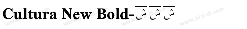 Cultura New Bold字体转换
